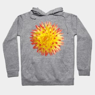 Yellow and Pink Spiky Flower Photo Hoodie